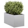 Galvanised_steel