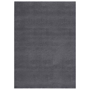 vidaXL Alfombra pelo corto blando suave lavable antracita 160x230 cm