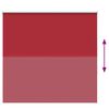 vidaXL Estor Enrollable Opaco Rojo 160x150 cm Tela Ancho 156,6 cm