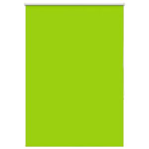 vidaXL Estor Enrollable Opaco hojas verde 105x175cm Tela Ancho 100,7cm