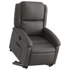 vidaXL Sillón reclinable elevable cuero auténtico gris