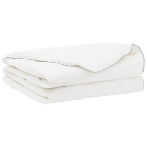 vidaXL Edred&oacute;n FULDA 220 x 240 cm Verano 100 GSM 90% plum&oacute;n de ganso