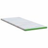 vidaXL Almohadillas para colchón Blanco y verde 70 x 200 cm