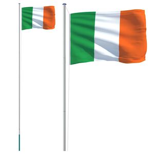vidaXL M&aacute;stil y bandera de Irlanda aluminio 6,08 m