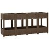 vidaXL Arriate 160x40x71 cm polipropileno