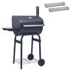 vidaXL Parrilla de carb&oacute;n 75 x 48 x 120 cm Plateado