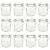 vidaXL Tarros de vidrio con cierre herm&eacute;tico 12 unidades 1 L