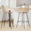 vidaXL Silla de Bar 2 pcs Natural 44,5 x 53 x 111 cm Ratan e Hierro