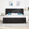 vidaXL Cama tipo Box Spring con colch&oacute;n Negro 200 x 200 cm Terciopelo