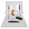 vidaXL Kit de estudio fotogr&aacute;fico con luces softbox, fondo y reflector