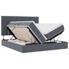 vidaXL Cama con tira de luces LED Gris oscuro 200 x 200 cm Terciopelo