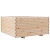vidaXL Jardinera madera maciza de pino 100x100x49,5 cm
