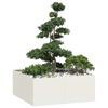 Imagen en miniatura del producto 2 de 9