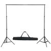 vidaXL Kit de estudio fotogr&aacute;fico con set de luces y fondo