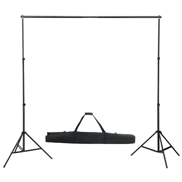vidaXL Kit de estudio fotogr&aacute;fico con set de luces y fondo