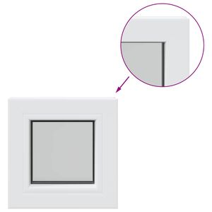 vidaXL Ventana de bodega color interno blanco RISOR 30 x 30 cm