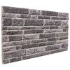 vidaXL Paneles de pared 3D 10 unidades EPS gris antracita 100x50 cm