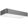 Steinel L&aacute;mpara de jard&iacute;n solar y sensor XSolar SOL-O antracita 052966