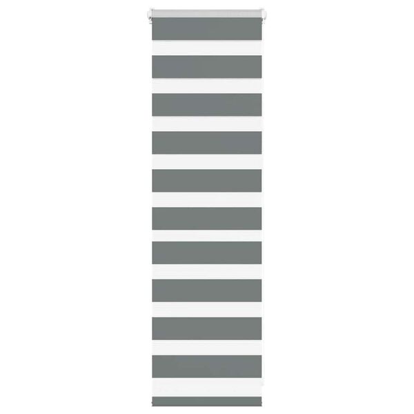 vidaXL Estor cebra gris oscuro 40x100cm tejido ancho 35,9 cm poliéster