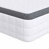 vidaXL Colch&oacute;n 2 uds. Suave medio 70 x 190 cm y gris