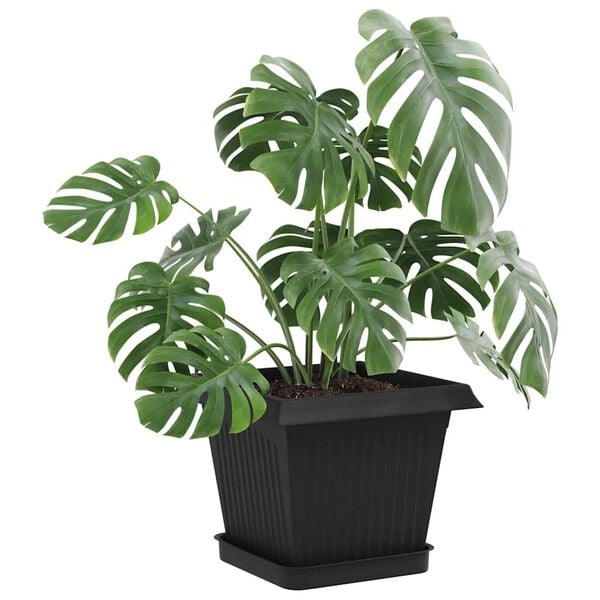 Mostrando imagen del producto 3 de 10