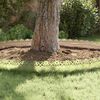 Imagen en miniatura del producto 5 de 13