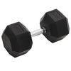 vidaXL Mancuerna hierro fundido 30 kg