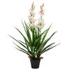vidaXL Planta artificial orqu&iacute;dea con macetero 100 cm verde
