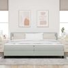 vidaXL Cama Box Spring LED con LED Gris Claro 200 x 200 cm Terciopelo