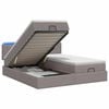 vidaXL Cama tipo otomana con colch&oacute;n y LED Topo 160 x 200 cm Tela