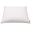 vidaXL Almohadas 2 uds relleno plumón/plumas 70x60 cm blanco
