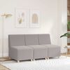 vidaXL Unidad de Sof&aacute; Modular sin Brazos Gris Claro