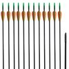 Flechas de arco compuesto est&aacute;ndar 30" 0,6 cm fibra de vidrio 12 pzas