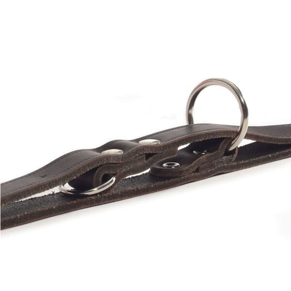 Beeztees Correa de entrenamiento cuero marr&oacute;n 200x1,2 cm 736401