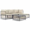 vidaXL Set muebles de jard&iacute;n 4 pzas y cojines rat&aacute;n PE gris antracita