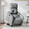 vidaXL Sill&oacute;n reclinable elevable de tela gris claro
