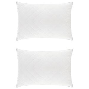 vidaXL Almohada FULDA 2 uds. 40 x 60 cm 100% Plum&oacute;n y plumas de ganso