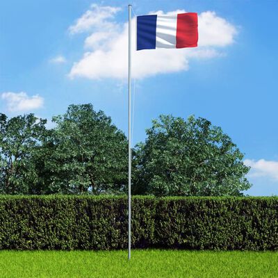 vidaXL Bandera de Francia y mástil de aluminio 6,2 m