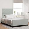 vidaXL Cama tipo Box Spring Gris claro 120 x 200 cm Terciopelo