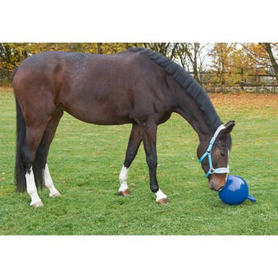 Kerbl Pelota de juguete para caballo 25 cm azul 32399