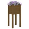 vidaXL Jardineras 2 uds madera maciza de pino marrón miel 31x31x70 cm