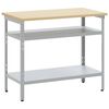 vidaXL Mesa de Trabajo con estante Gris 100 x 55 x 85 cm