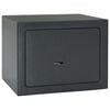 vidaXL Caja Fuerte con cerradura Gris oscuro 23 x 17 x 17 cm Acero