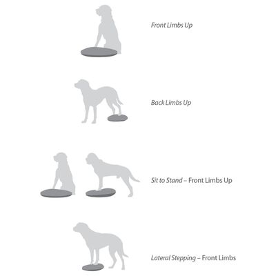 FitPAWS Disco de equilibrio para mascotas azul 36 cm
