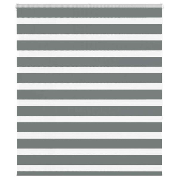 vidaXL Estor cebra gris oscuro tejido ancho 125,9 cm poliéster
