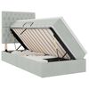 vidaXL Cama con almacenamiento y LED con LED Gris Claro 100 x 200 cm
