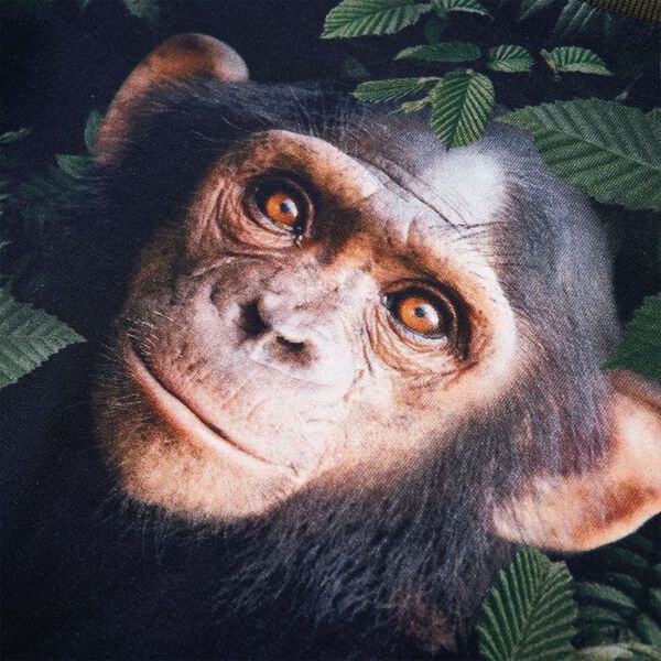 Sudadera infantil caqui 140