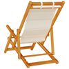 vidaXL Silla de playa plegable con reposabrazos gris claro