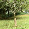 Imagen en miniatura del producto 2 de 7