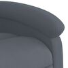 vidaXL Sill&oacute;n reclinable de masaje elevable terciopelo gris oscuro